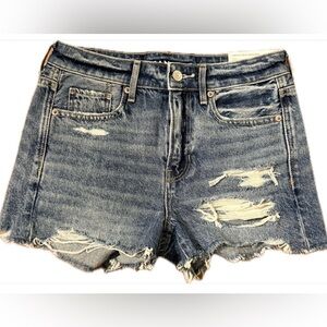 NWT American Eagle Tomgirl Distressed High Rise Denim Shorts | Size 24W 00